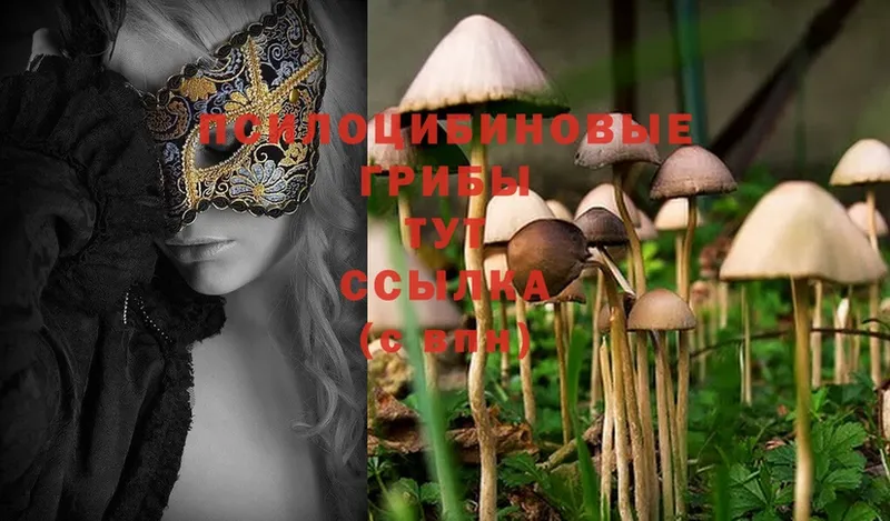 Галлюциногенные грибы Magic Shrooms  как найти наркотики  Константиновск 